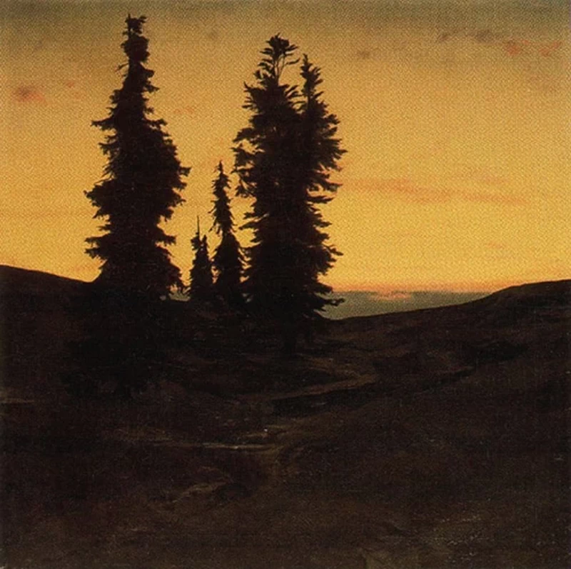 Abeti al tramonto